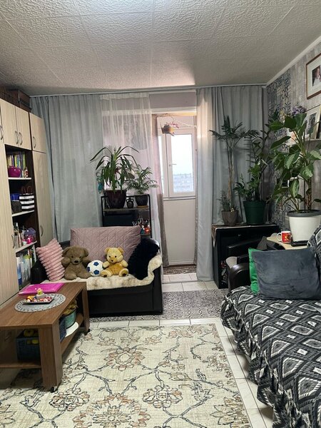 Theodor Pallady, Nicolae Grigorescu metrou vanzare garsoniera