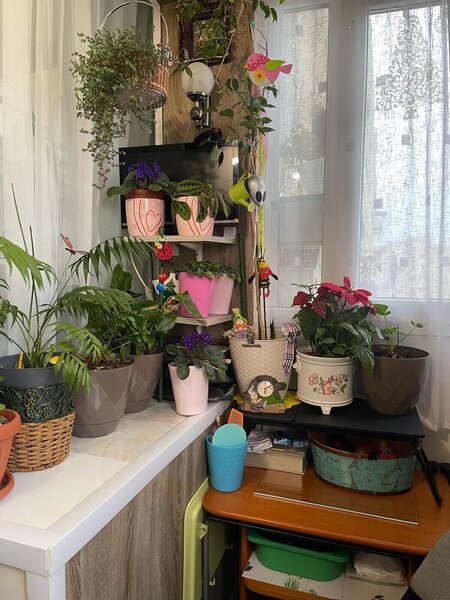 Theodor Pallady, Nicolae Grigorescu metrou vanzare garsoniera